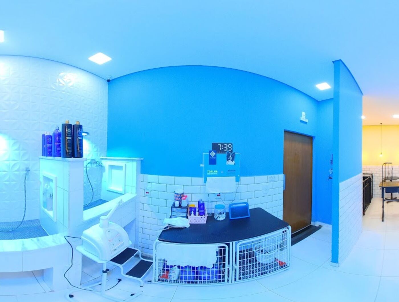 Salão de estética com bancada de banho, secador e parede azul